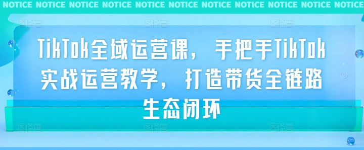 TikTok全域运营课，手把手TikTok实战运营教学，打造带货全链路生态闭环-啄木鸟资源库