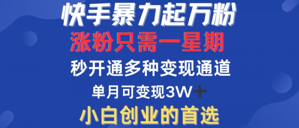 快手暴力起万粉，涨粉只需一星期，多种变现模式，直接秒开万合，单月变现过W【揭秘】-啄木鸟资源库