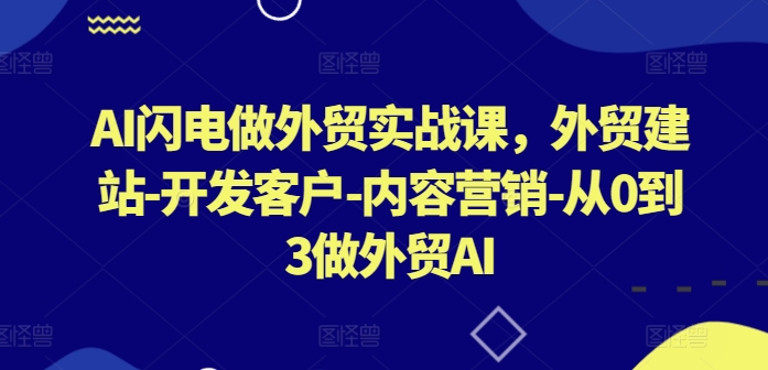 AI闪电做外贸实战课，​外贸建站-开发客户-内容营销-从0到3做外贸AI（更新）-啄木鸟资源库