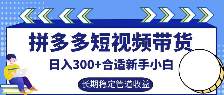 拼多多短视频带货日入300+有长期稳定被动收益，合适新手小白【揭秘】-啄木鸟资源库