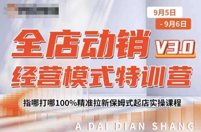 全店动销经营模式特训营，指哪打哪100%精准拉新保姆式起店实操课程-啄木鸟资源库