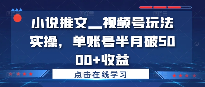 小说推文—视频号玩法实操，单账号半月破5000+收益-啄木鸟资源库