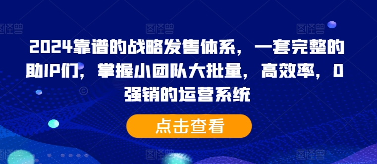 2024靠谱的战略发售体系，一套完整的助IP们，掌握小团队大批量，高效率，0 强销的运营系统-啄木鸟资源库