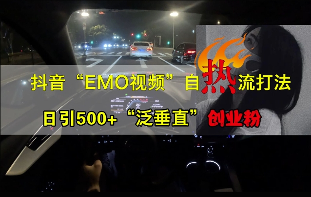 抖音EMO视频自热打法，日引500+“泛垂直”创业粉-啄木鸟资源库