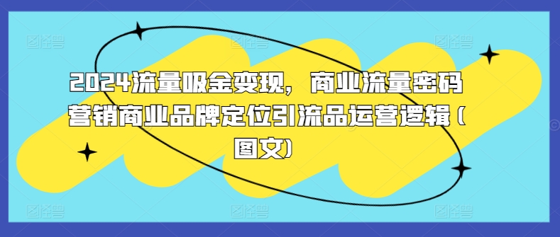 2024流量吸金变现，商业流量密码营销商业品牌定位引流品运营逻辑(图文)-啄木鸟资源库