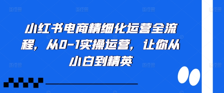 小红书电商精细化运营全流程，从0-1实操运营，让你从小白到精英-啄木鸟资源库