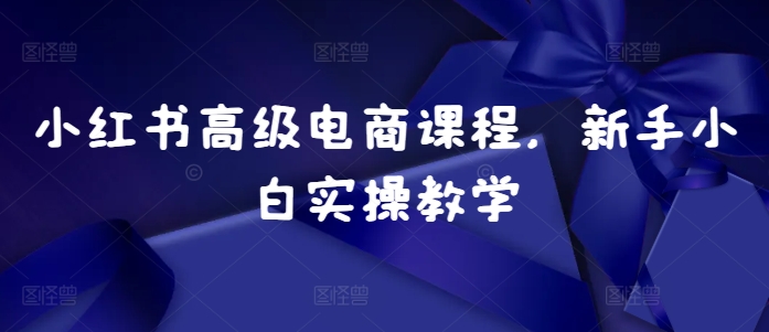 小红书高级电商课程，新手小白实操教学-啄木鸟资源库