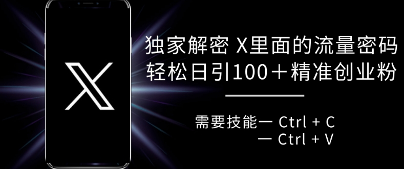 独家解密 X 里面的流量密码，复制粘贴轻松日引100+-啄木鸟资源库