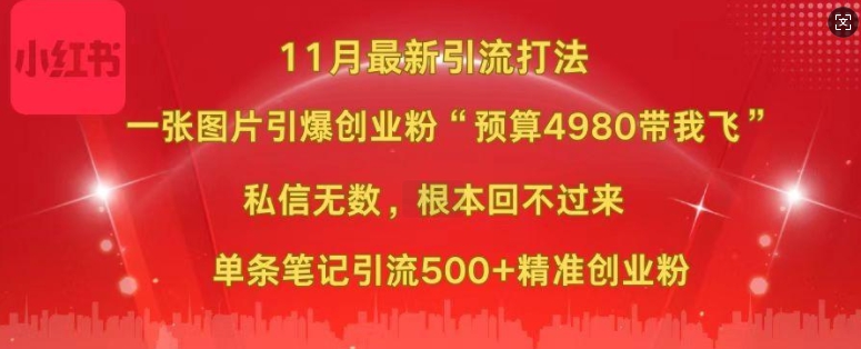 小红书11月最新图片打粉，一张图片引爆创业粉，“预算4980带我飞”，单条引流500+精准创业粉-啄木鸟资源库