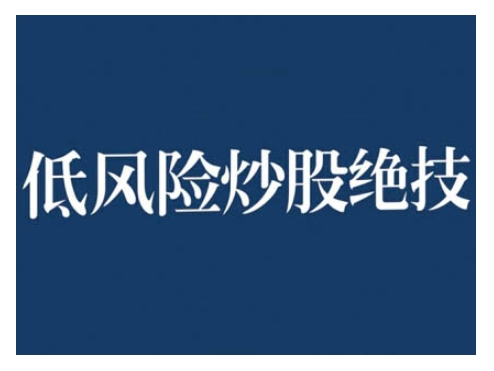 2024低风险股票实操营，低风险，高回报-啄木鸟资源库