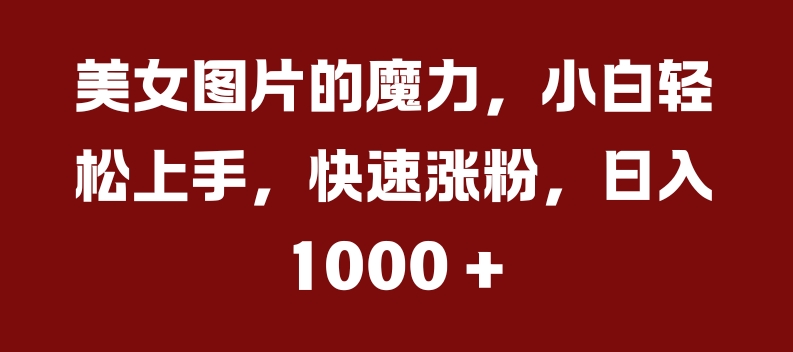 美女图片的魔力，小白轻松上手，快速涨粉，日入几张【揭秘】-啄木鸟资源库