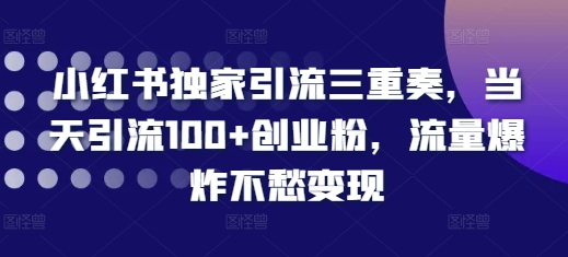 小红书独家引流三重奏，当天引流100+创业粉，流量爆炸不愁变现【揭秘】-啄木鸟资源库