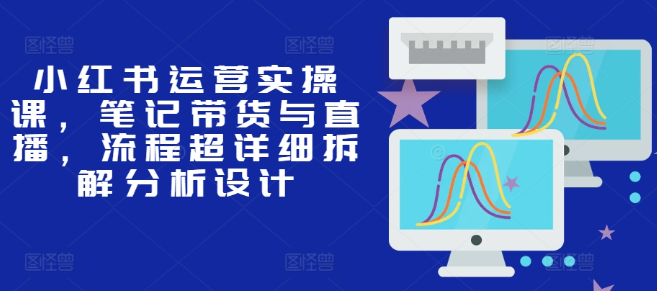 小红书运营实操课，笔记带货与直播，流程超详细拆解分析设计-啄木鸟资源库