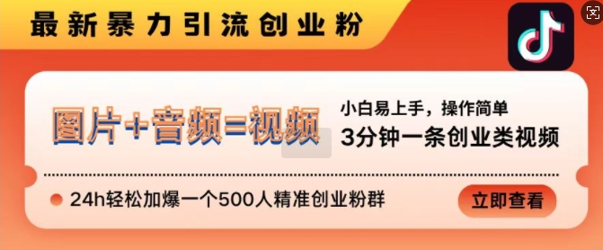 抖音最新暴力引流创业粉，3分钟一条创业类视频，24h轻松加爆一个500人精准创业粉群【揭秘】-啄木鸟资源库