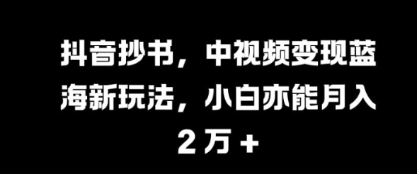 抖音抄书，中视频变现蓝海新玩法，小白亦能月入 过W【揭秘】-啄木鸟资源库