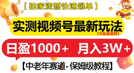 实测视频号最新玩法，中老年赛道，独家资源，月入过W+【揭秘】-啄木鸟资源库