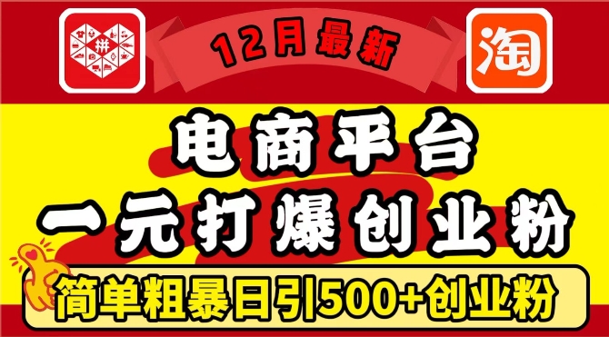 12月最新：电商平台1元打爆创业粉，简单粗暴日引500+精准创业粉，轻松月入过W【揭秘】-啄木鸟资源库