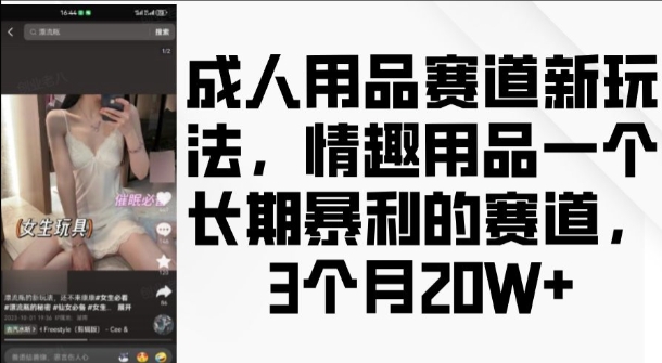 成人用品赛道新玩法，情趣用品一个长期暴利的赛道，3个月收益20个【揭秘】-啄木鸟资源库