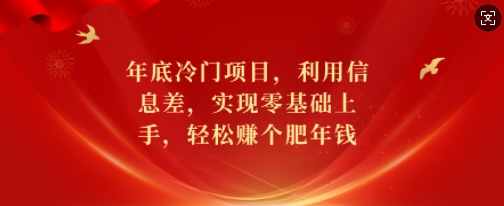 年底冷门项目，利用信息差，实现零基础上手，轻松赚个肥年钱【揭秘】-啄木鸟资源库