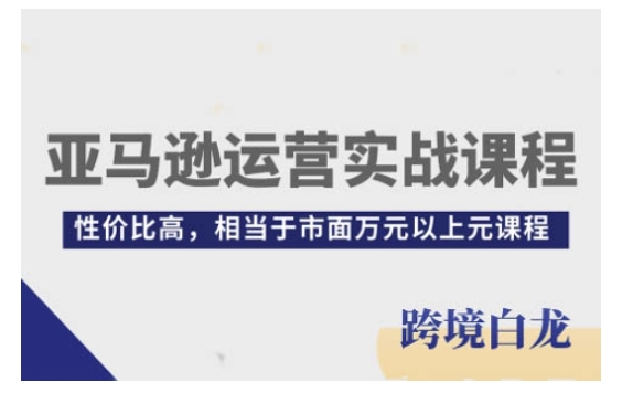 亚马逊运营实战课程，亚马逊从入门到精通，性价比高，相当于市面万元以上元课程-啄木鸟资源库