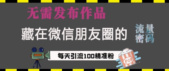 藏在微信朋友圈的流量密码，无需发布作品，单日引流100+精准创业粉【揭秘】-啄木鸟资源库