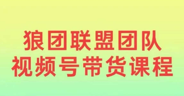 狼团联盟2024视频号带货，0基础小白快速入局视频号-啄木鸟资源库