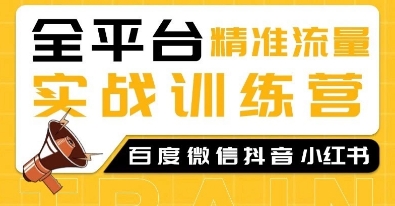 全平台精准流量实战训练营，百度微信抖音小红书SEO引流教程-啄木鸟资源库