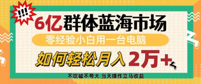 6亿群体蓝海市场，零经验小白用一台电脑，如何轻松月入过w【揭秘】-啄木鸟资源库