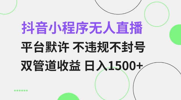 抖音小程序无人直播 平台默许 不违规不封号 双管道收益 日入多张 小白也能轻松操作【仅揭秘】-啄木鸟资源库