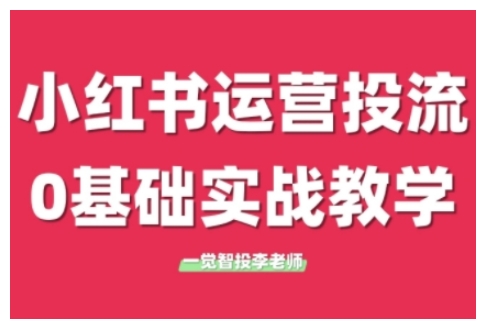 小红书运营投流，小红书广告投放从0到1的实战课，学完即可开始投放-啄木鸟资源库