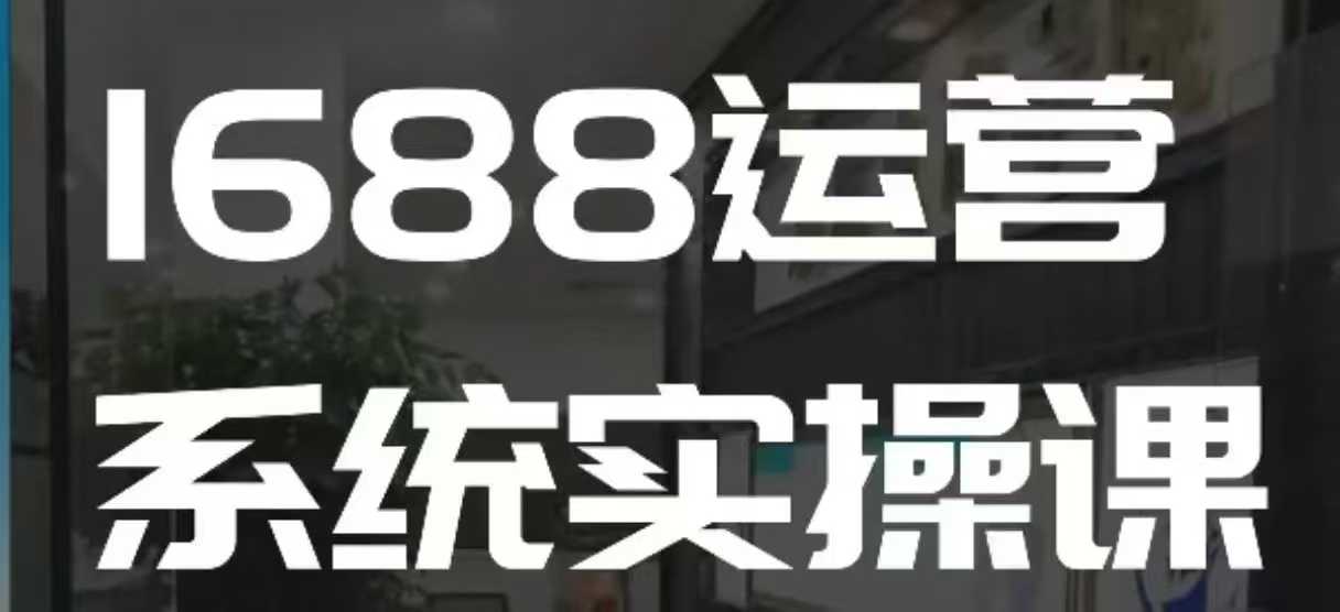 1688高阶运营系统实操课，快速掌握1688店铺运营的核心玩法-啄木鸟资源库