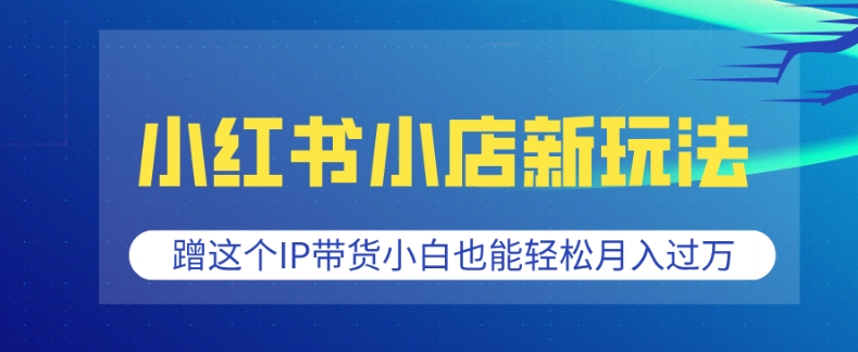 小红书小店新玩法，蹭这个IP带货，小白也能轻松月入过W【揭秘】-啄木鸟资源库