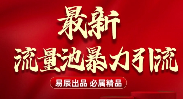 最新“流量池”无门槛暴力引流(全网首发)日引500+-啄木鸟资源库