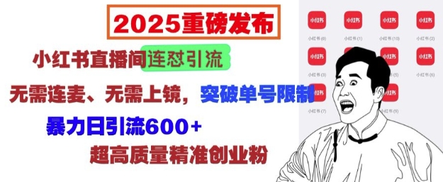 2025重磅发布：小红书直播间连怼引流，无需连麦、无需上镜，突破单号限制，暴力日引流600+-啄木鸟资源库