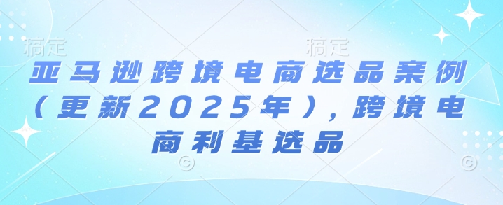 亚马逊跨境电商选品案例(更新2025年)，跨境电商利基选品-啄木鸟资源库