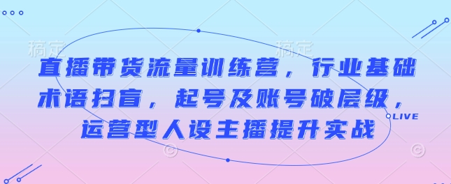 直播带货流量训练营，行业基础术语扫盲，起号及账号破层级，运营型人设主播提升实战-啄木鸟资源库