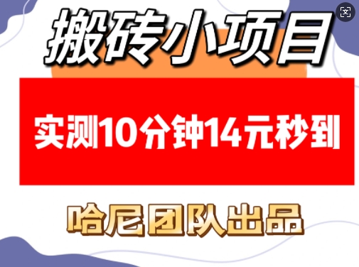 搬砖小项目，实测10分钟14元秒到，每天稳定几张(赠送必看稳定)-啄木鸟资源库