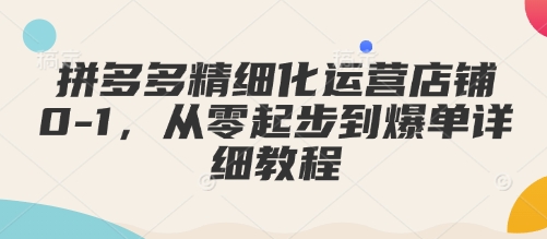 拼多多精细化运营店铺0-1，从零起步到爆单详细教程-啄木鸟资源库