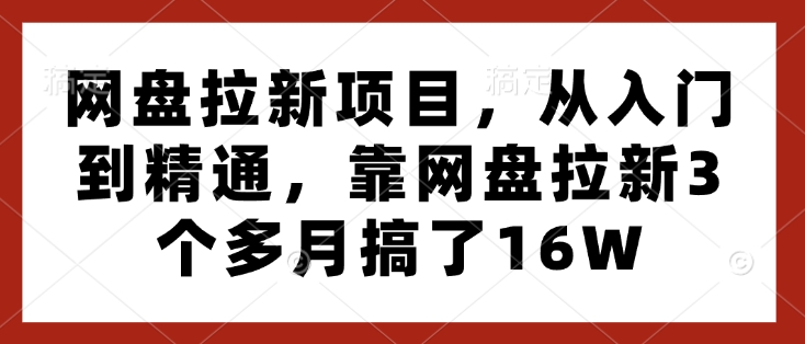 网盘拉新项目，从入门到精通，靠网盘拉新3个多月搞了16W-啄木鸟资源库