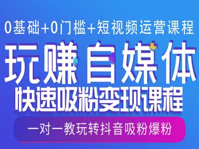 0基础+0门槛+短视频运营课程，玩赚自媒体快速吸粉变现课程，一对一教玩转抖音吸粉爆粉-啄木鸟资源库